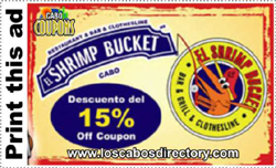 print this coupon