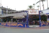 The Shrimp Factory