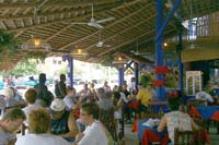 The Shrimp Factory