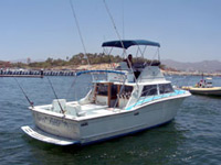 TUNA TIME - 33' Owens