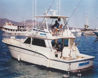 FISH CABO - 43' Hatteras