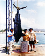 Fish Cabo